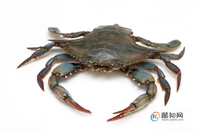 �������������ʽ�̵�����